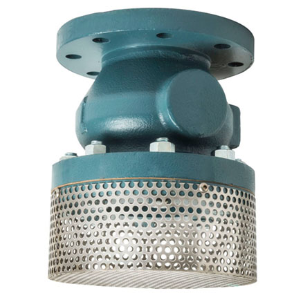 5398 Foot Valve